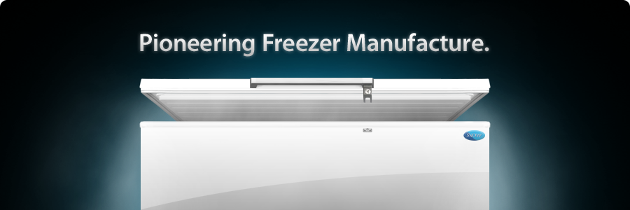 Pioneering Freezer Manufacturer